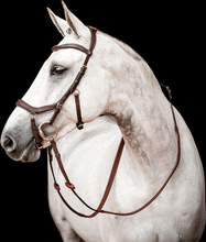 Horseware träns Micklem2 Competition - Dark Havana (Brun) (Full (Standard Horse))