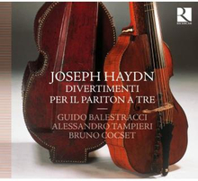 Haydn: Divertimenti Per Il Pariton A Tre
