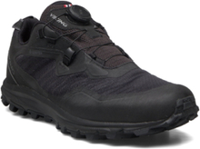 Apex 3 Low Gtx Boa M Sport Sport Shoes Outdoor-hiking Shoes Black Viking