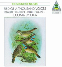 Sound Of Nature / Bird Of A Thousand Voices