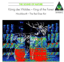 Sound Of Nature / King Of The Forest