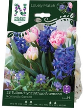 Höstlök Nelson Garden Tulpan/Hyacint/Anem Lovely Match Romantic Garden Mix