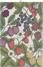 Ekelund - Hagebær håndkle 40x60 cm flerfarget