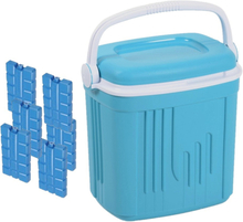 Voordelige normale blauwe koelbox 20 liter met 6x normale koelelementen