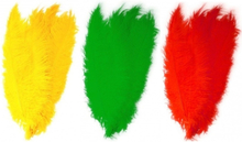 6x stuks grote veer/struisvogelveren 2x groen 2x geel en 2x rood van 50 cm