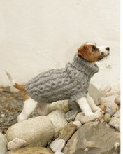 The Lookout by DROPS Design - Hundtrja Stickmnster strl. XS - M - Small