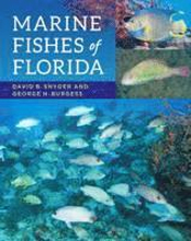Marine Fishes of Florida