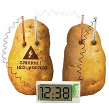 Potato Digital Ure