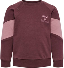 Hummel Kris sweatshirt til småbarn, catawba grape