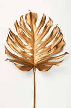 Poster Monstrea gold leaf