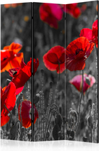 Skærmvæg - Red Poppies 135 x 172 cm