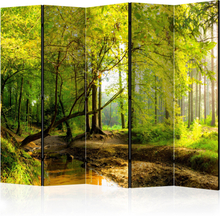 Skærmvæg - Forest Clearing II 225 x 172 cm
