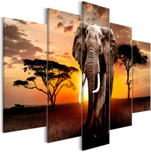Billede - Wandering Elephant (5 Dele) Wide 225 x 100 cm