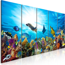 Billede - Coral Reef (5 Dele) Narrow 225 x 90 cm