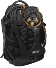 Kurgo bärväska/ryggsäck till Hund - G-Train K9 Pack - Svart