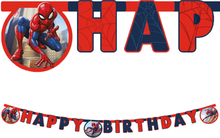 Happy Birthday Girlang Spiderman Crime Fighter