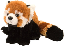 Wild Republic Kæledyr Cuddle kins Mini Red Panda