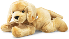 Steiff Blød Cuddly Friends Hund Henny liggende blond, 50 cm