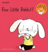 Poor Little Rabbit!