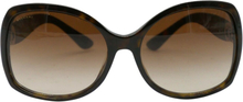 Pre-eide skilpaddeskall store solbriller