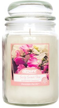 AirPure Scented Candle 500 gram - Sicily Sweet Pea