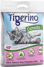 Tigerino Canada Style / Premium Katzenstreu - Babypuderduft - Sparpaket: 2 x 12 kg