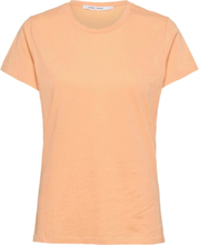 Solly Tee Solid 205 T-shirts & Tops Short-sleeved Brun Samsøe Samsøe*Betinget Tilbud