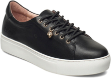 Starlily Low-top Sneakers Black Dasia