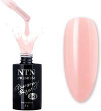 NTN Premium - Gummy Base - 2in1 Hybridlack - 5g Nr2