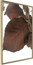 Plakat - Burgundy Tilia Leaf - 40 x 60 cm - Guldramme