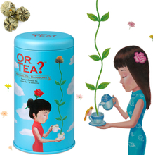 Or Tea Natural Tea Blossoms goudsbloem los - 42