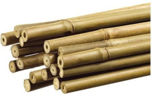 GENERISK - Dekorativ bambustav Naturfärg Ø1,1cm X1,50m Nortene