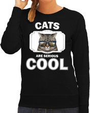 Dieren coole poes sweater zwart dames - cats are cool trui