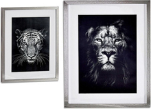 Tavla Lion - Tiger (43 x 3 x 53 cm)