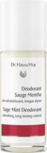 Dr Hauschka Sage Mint Deodorant 50 ml