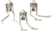 Skelett i Polyresin - 3-pack