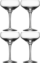 More Champagne Coupe 4-pack 4 st/paket