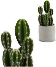Kaktus Plastik Kaktus (12 x 28 x 12 cm)
