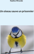 Un oiseau sauve un prisonnier