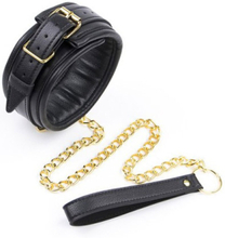 Premium Comfort Gold Collar Halsband & koppel