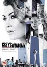 Grey's Anatomy Season 14