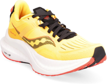 Tempus Shoes Sport Shoes Running Shoes Multi/mønstret Saucony*Betinget Tilbud