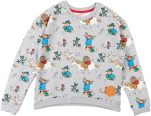 Winter Pippi Sweatshirt Tops Sweatshirts & Hoodies Sweatshirts Grey Martinex