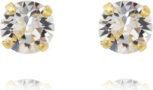 Classic Stud Earring Gold Accessories Jewellery Earrings Studs Gull Caroline Svedbom*Betinget Tilbud
