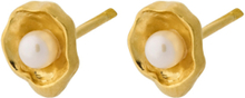 Hidden Pearl Earsticks Accessories Jewellery Earrings Studs Gull Pernille Corydon*Betinget Tilbud