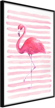 Inramad Poster / Tavla - Pink Madness - 20x30 Svart ram