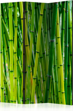 Rumsavdelare / Skärmvägg - Bamboo Forest - 135x172