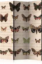 Rumsavdelare / Skärmvägg - Retro Style: Butterflies - 135x172