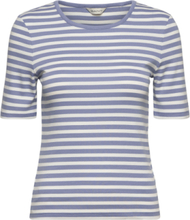 Slim Striped 1X1 Ribbed Ss T-Shirt Tops T-shirts & Tops Short-sleeved Blue GANT