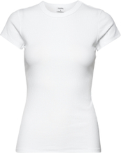 Fine Rib Tee Designers T-shirts & Tops Short-sleeved White Filippa K